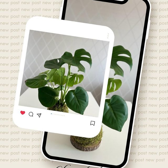 Image Slider