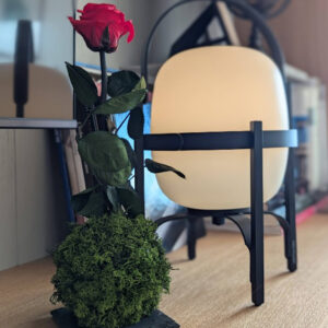 rosa preservada roja sobre una pizarra