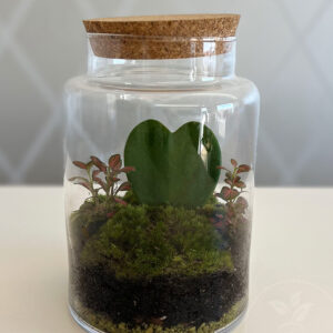 Terrario Love Green