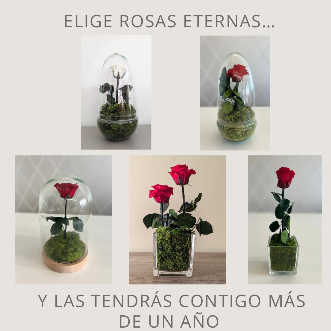Image Slider