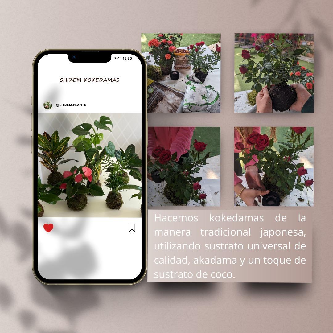 Image Slider